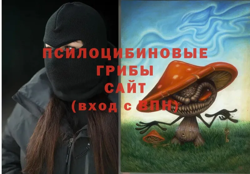 Псилоцибиновые грибы Psilocybe  Берёзовский 